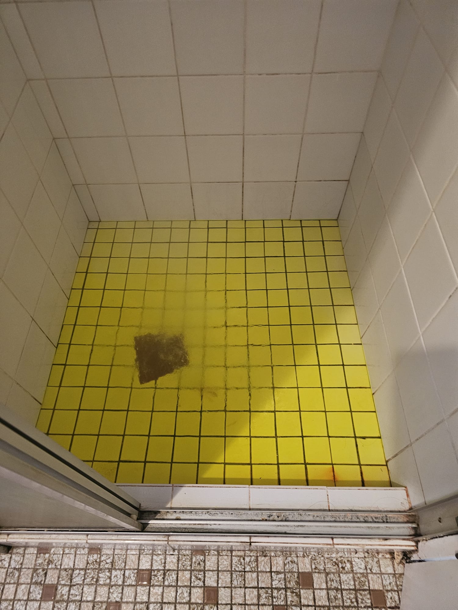 Thermal leak detection scan